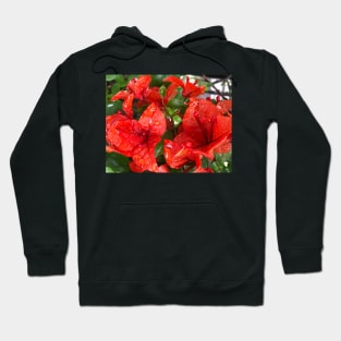 Natural Red Christmas Rain Cups Hoodie